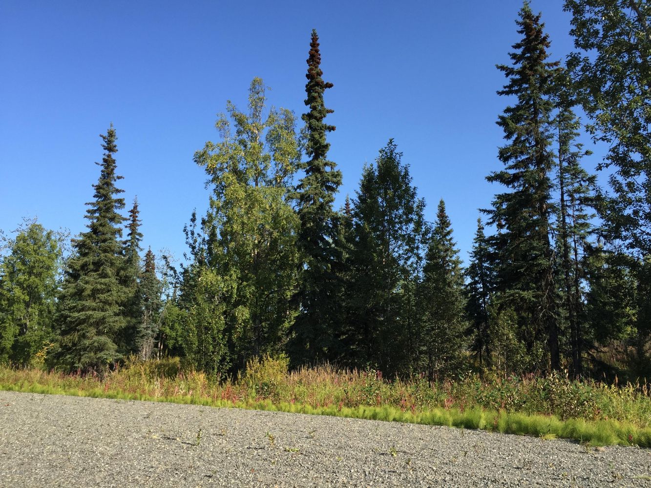 63727 Oil Well Rd, Ninilchik, AK 99639